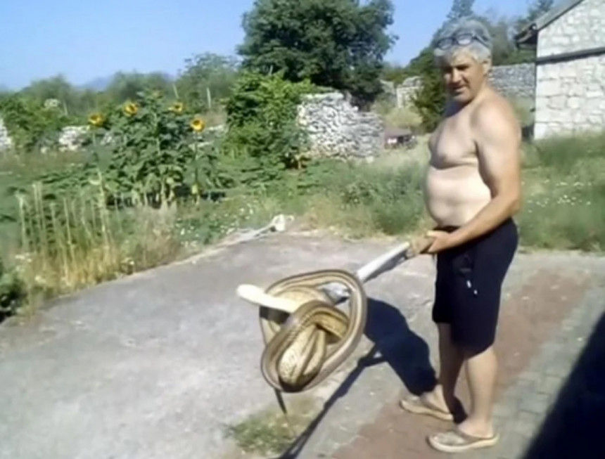 Žena ušla da napravi doručak i zatekla zmiju (VIDEO)