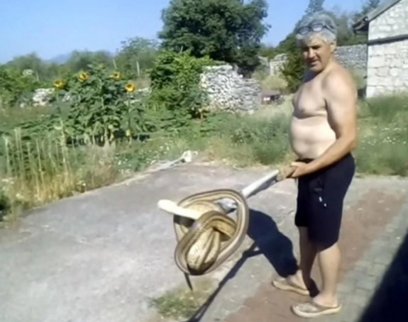Žena ušla da napravi doručak i zatekla zmiju (VIDEO)