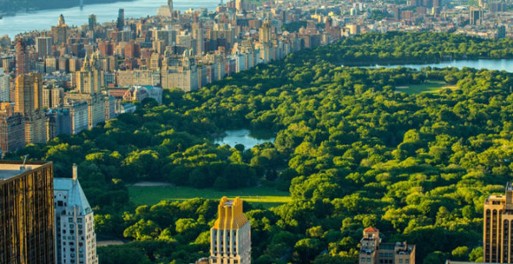 Stanje vanredne katastrofe zbog oružanog nasilja
