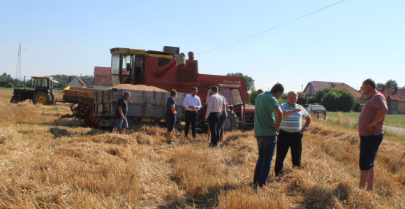 Počela žetva pšenice u Semberiji