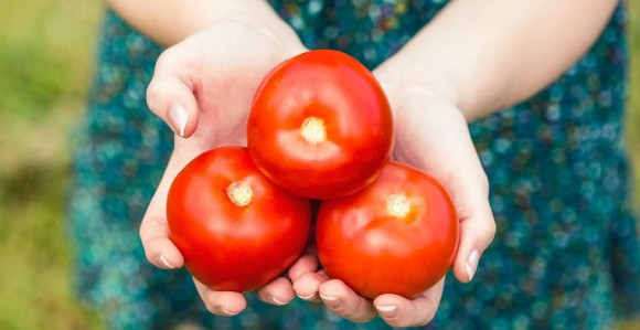 Iskoristite ljeto i svjež paradajz, ovo su njegove moći