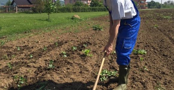 Gdje su i šta rade bivši načelnici i gradonačelnici?