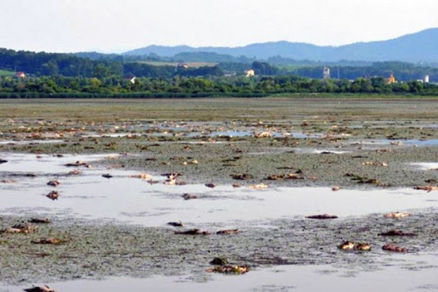 Podnesen izvještaj protiv direktora "Ribnjaka"