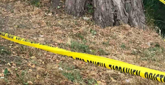 Krivične prijave zbog bombe kod Davidovog srca