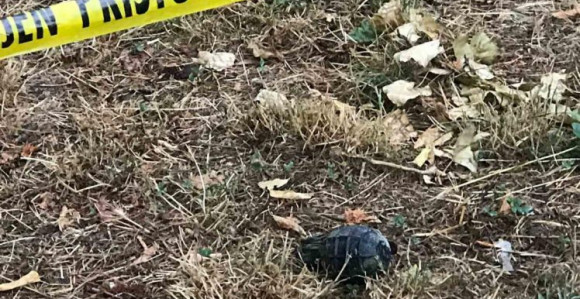 Direktor policije ne zna za bombu na ušću Crkvene