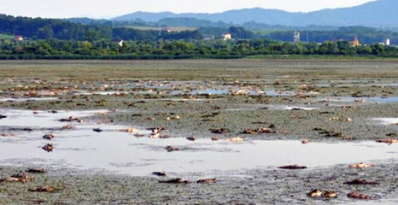 Podnesen izvještaj protiv direktora "Ribnjaka"