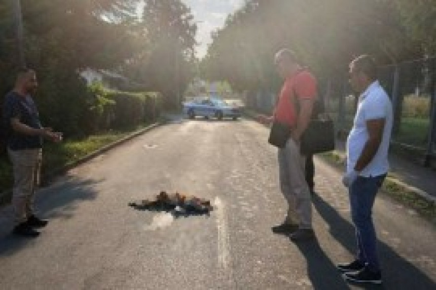 Ухапшен због убиства власничког пса у Лазареву