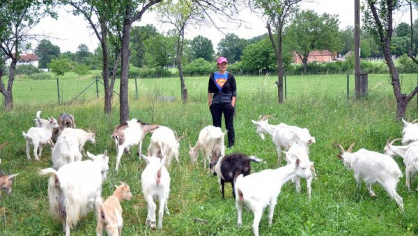 Ведрана има жељу да има своју кућу и фарму за козе