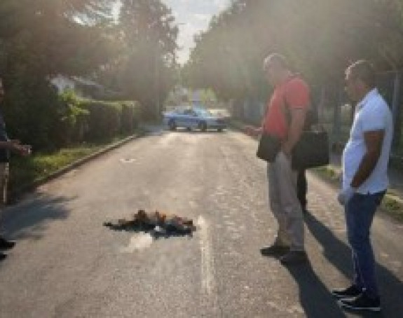 Uhapšen zbog ubistva vlasničkog psa u Lazarevu