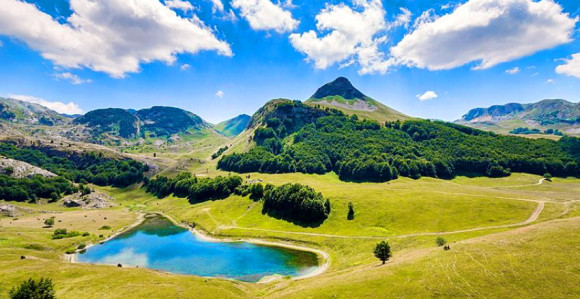 Ko oduzima posao i pare radnicima NP "Sutjeska"?!