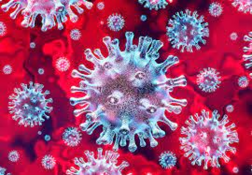 U Federaciji BiH još 55 osoba pozitivno na virus korona