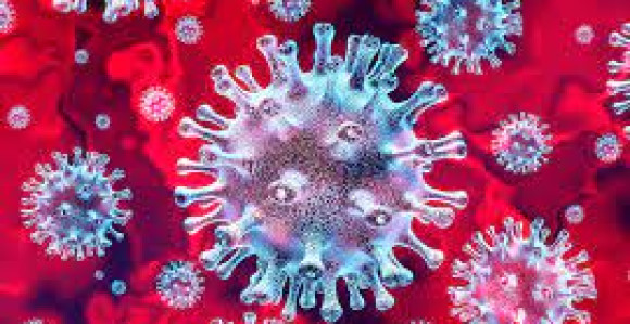 U Federaciji BiH još 55 osoba pozitivno na virus korona