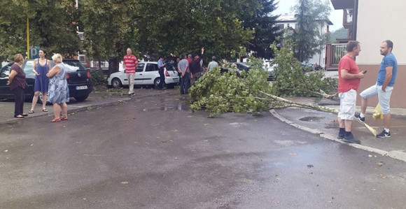 Jako nevrijeme u Milićima: Vjetar i kiša rušili stabla