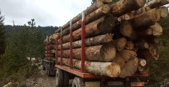 Manja proizvodnja, a veća prodaja šumskih sortimenata