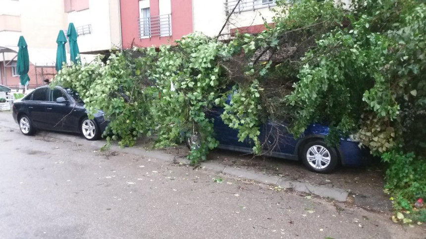 Snažno nevrijeme oštetilo krovove, čupalo drveće
