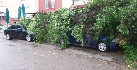 Snažno nevrijeme oštetilo krovove, čupalo drveće