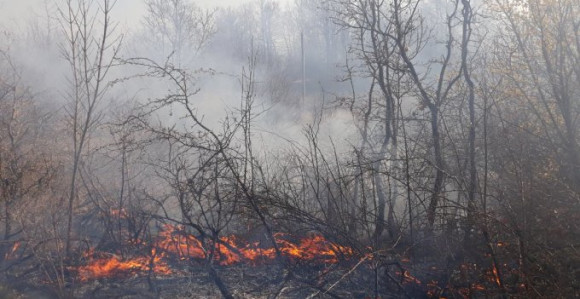 Požar u Ljubinju pod kontrolom, ali i dalje aktivan (VIDEO)