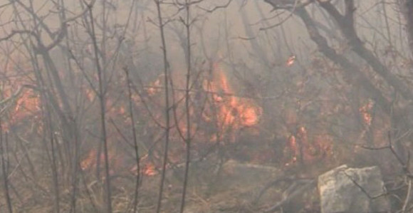 U požaru kod Gradiške stradao starac