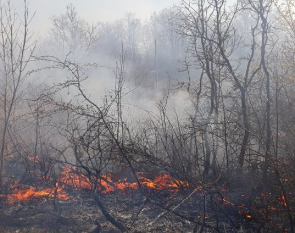 Пожар у Љубињу под контролом, али и даље активан (ВИДЕО)
