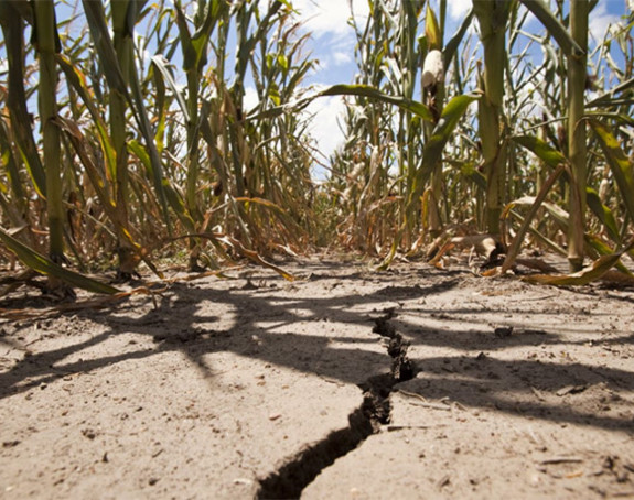 Suša nanijela štetu veću od milijarde KM