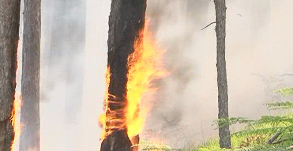 U Ljubinju tri požara, vatra blizu kuća