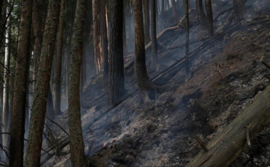 Ekološka katastrofa: Pančićevu omoriku zahvatio požar