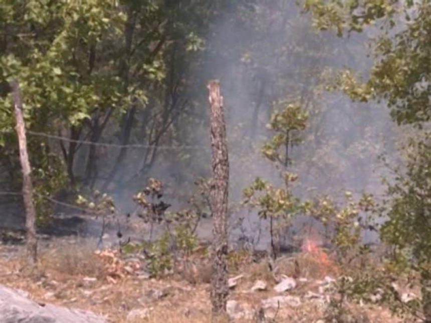 Билећа: Пожар у селу Мириловићи и данас активан 