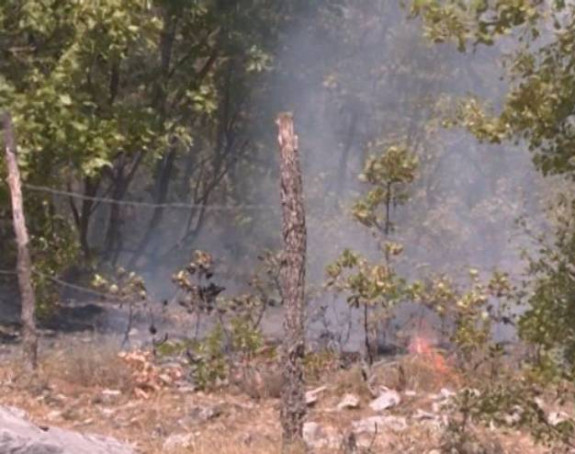 Bileća: Požar u selu Mirilovići i danas aktivan 
