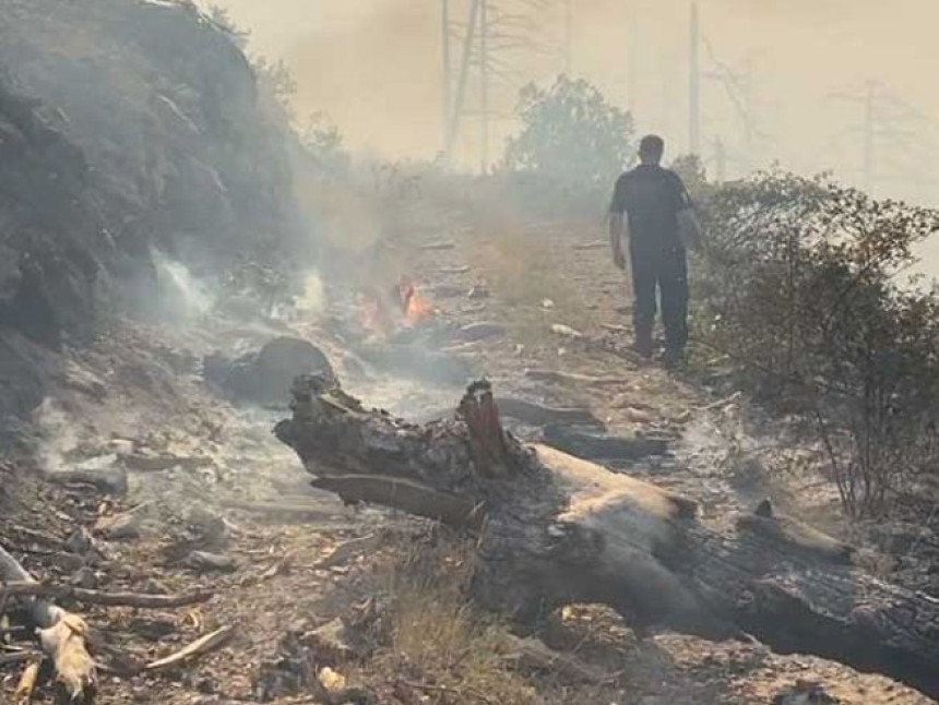 Ватра се шири:  Пожар у кањону Таре