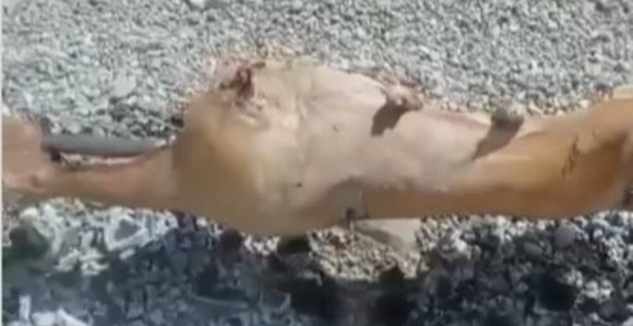 Novi hit snimak stiže iz Crne Gore (VIDEO)