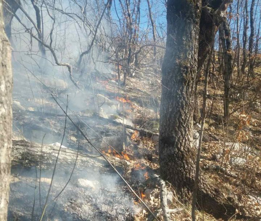 Bileća: Situacija sa požarima teška, ogromna šteta