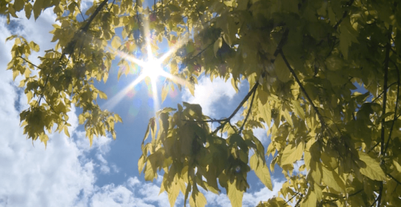 Danas sunčano i toplo, temperatura u porastu