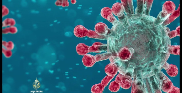 Danas zaraženo 905 osoba virusom korona u BiH