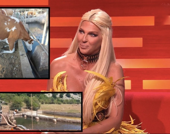 Nakon apela Jelene Karleuše životinje dobile vodu