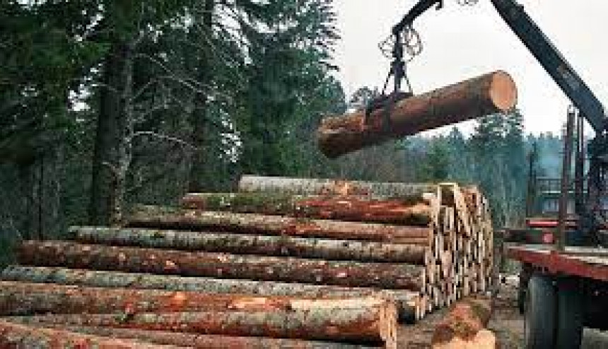 Drvoprerađivači traže isporuku trupaca od "Šuma"
