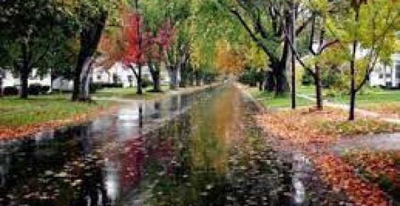 Oblačno vrijeme, temperatura na jugu do 24 stepena