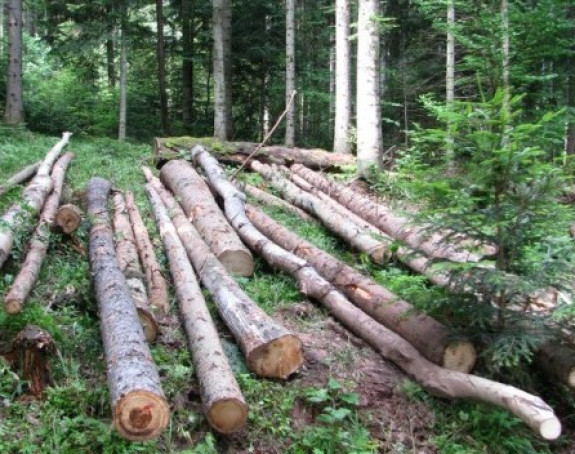 Уставни суд: Шуме нису у власништву Републике Српске