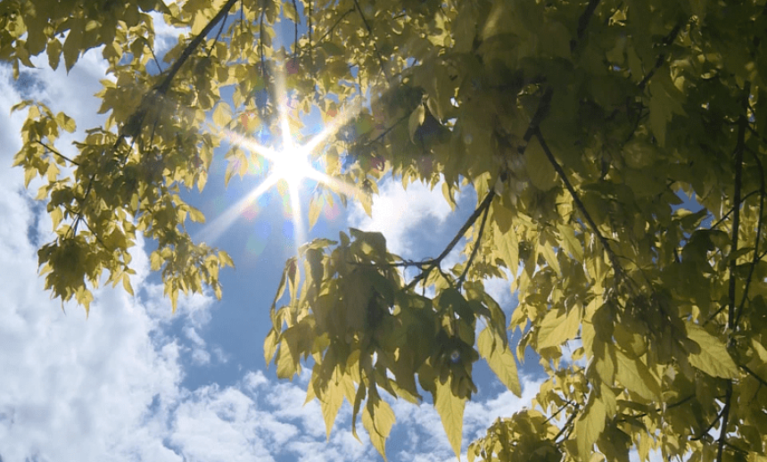 Danas sunčano uz porast dnevne temperature