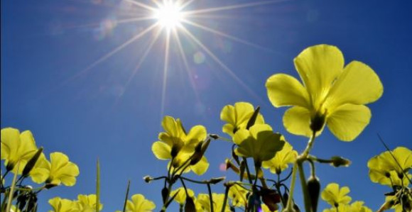 Danas sunčano vrijeme uz malu oblačnost