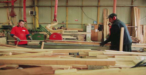 Za 8 mjeseci izvoz drvnog sektora veći za 32,4%