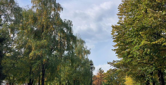 Danas pretežno sunčano, magla u nizinama