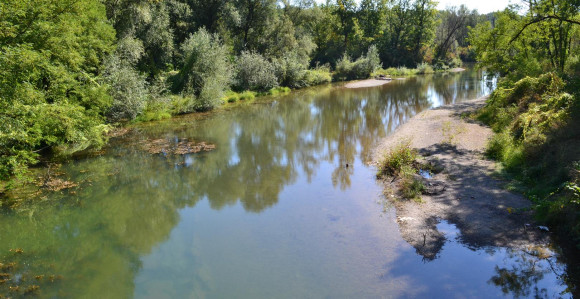 Tijelo ženske osobe pronađeno u rijeci kod Dervente