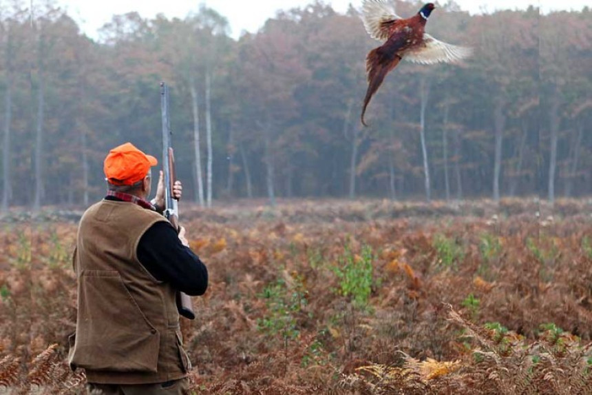 Lovac podlegao povredama od samoranjavanja