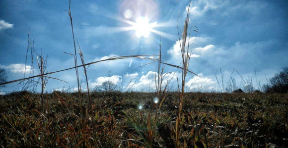 Danas sunčano i toplo, temperatura do 19 stepeni