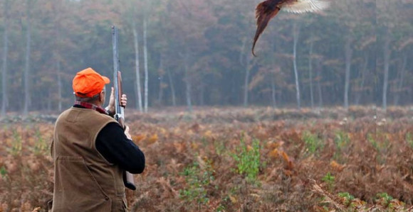 Lovac podlegao povredama od samoranjavanja