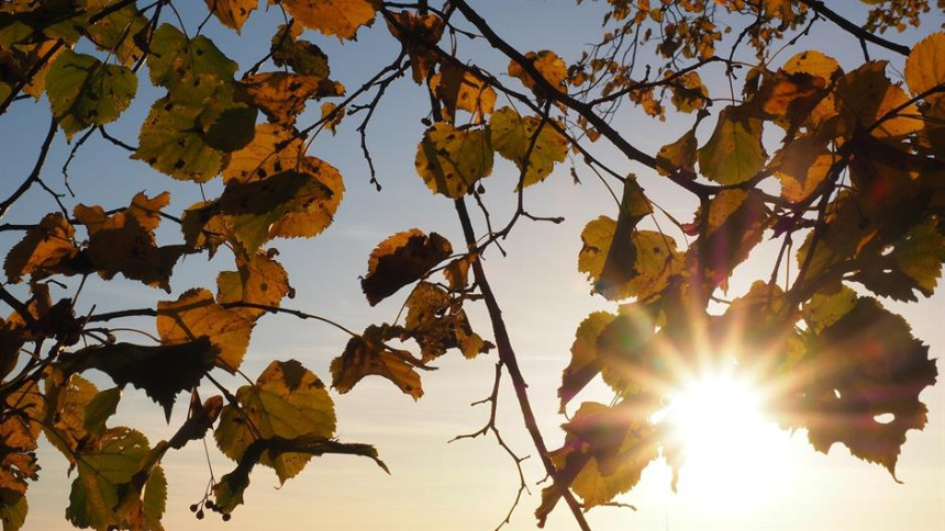 Danas sunčano, poslije podne naoblačenje