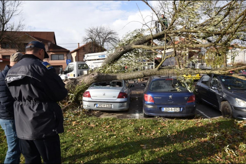 Sarajevo: Olujni vjetar rušio stabla i nanio štetu