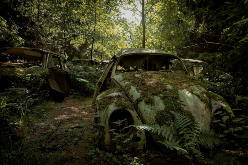 Језиво "гробље аутомобила" налази се у једној шуми у Белгији!