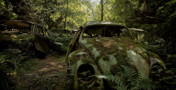 Језиво "гробље аутомобила" налази се у једној шуми у Белгији!