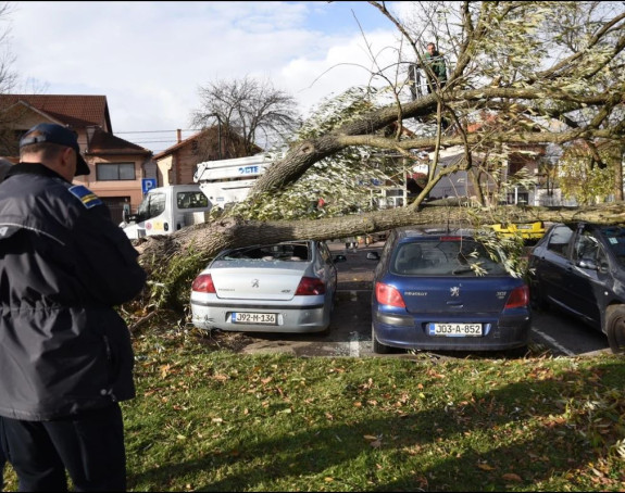 Sarajevo: Olujni vjetar rušio stabla i nanio štetu